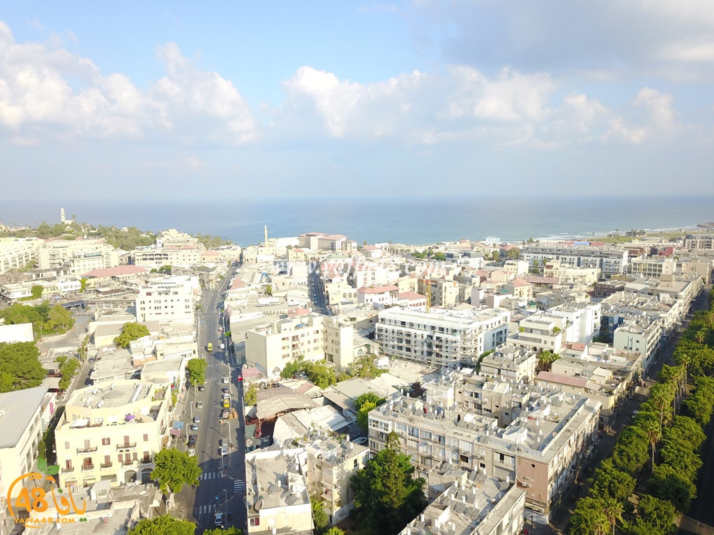 jamal basha tsterre (9).JPG